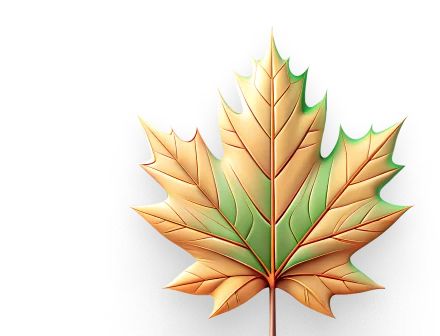 Study and Work in Canada