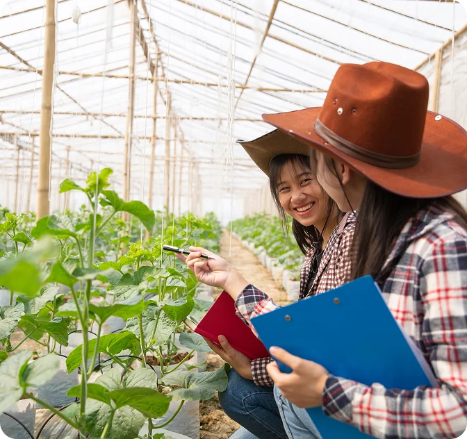 Internships in Chile: Professional unpaid internships in Chile